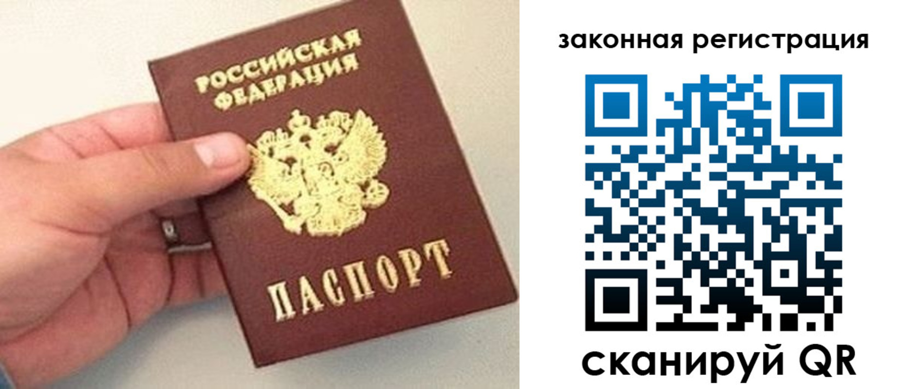 прописка для школы в Брянске